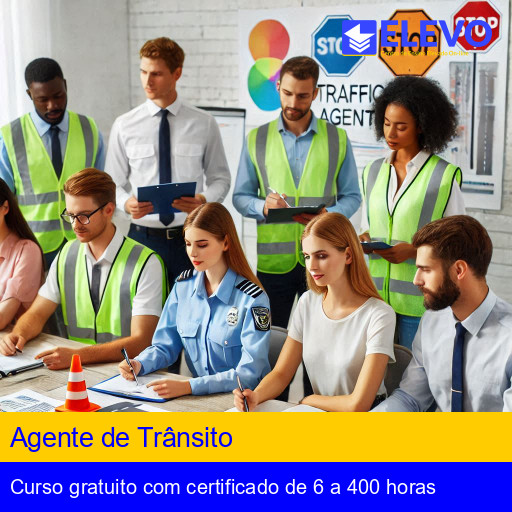 Agente de Trânsito